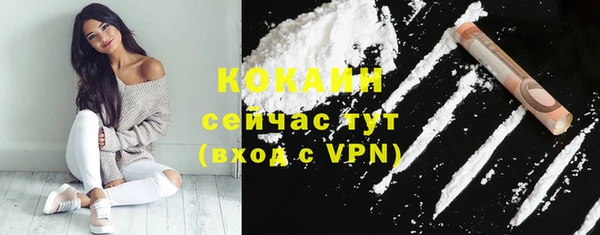 дживик Белоозёрский