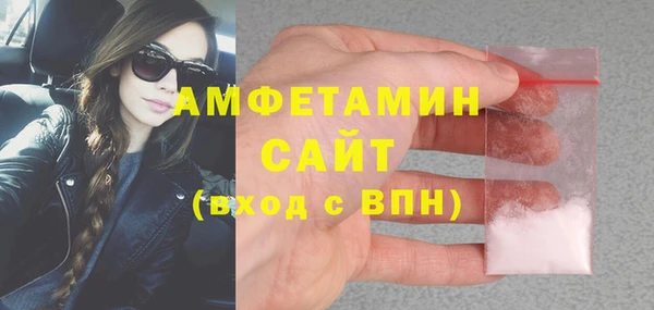 сатива Беломорск