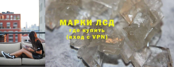 сатива Беломорск