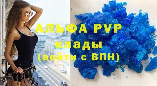 сатива Беломорск