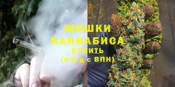 a pvp Белокуриха