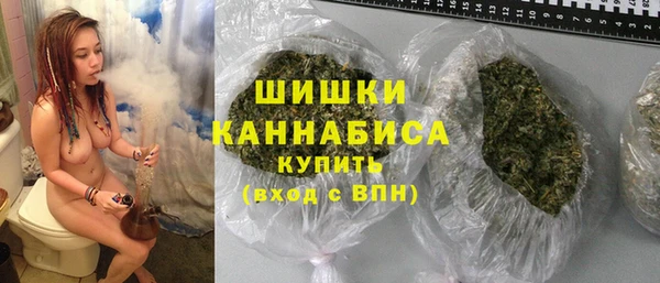 сатива Беломорск