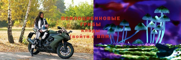 дживик Белоозёрский
