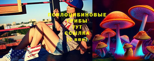 дживик Белоозёрский