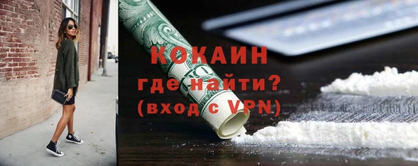 сатива Беломорск