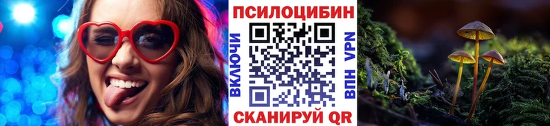 Галлюциногенные грибы Cubensis  Цоци-Юрт 